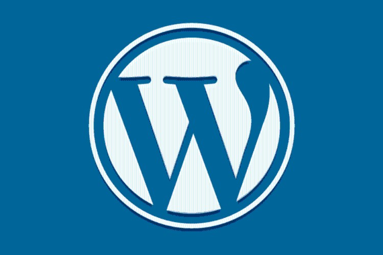 WordPress Fix: “Cookies are blocked or not supported by your browser.”