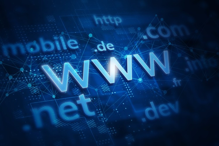 Domain Names 101: What is a Domain Name and How to Get One